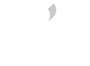 logo bianchetto